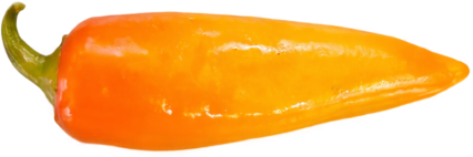 Oaschpfeifferl